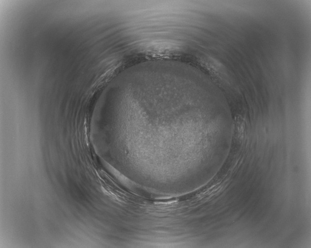 X0000061151060200511181228