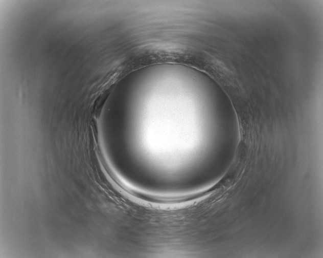 X0000061151061200511181228