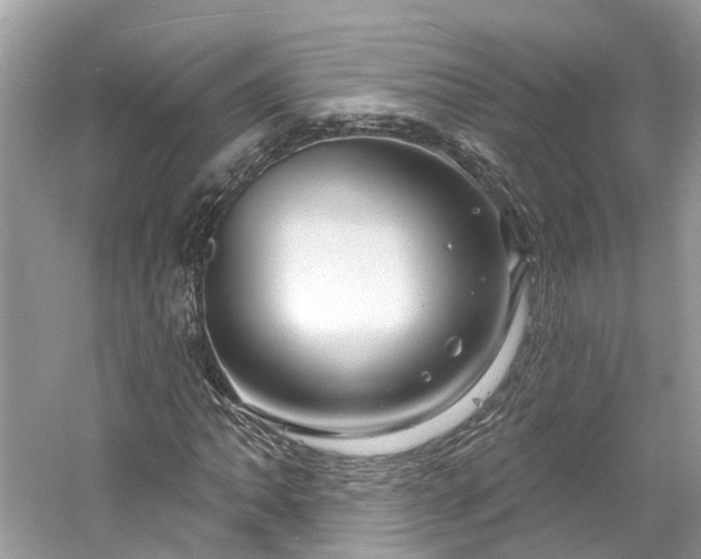 X0000061151062200511181228