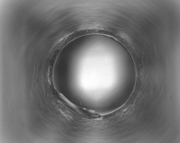 X0000061151064200511181228