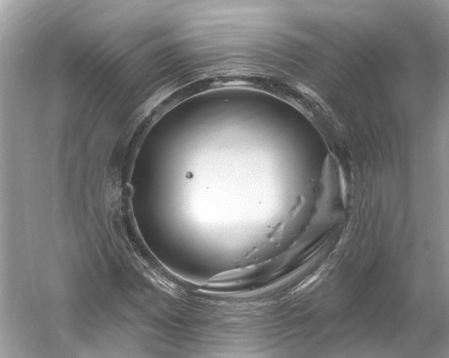 X0000061151065200511181228