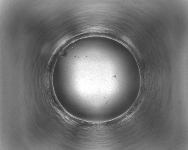 X0000061151067200511181228