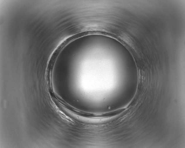 X0000061151068200511181228