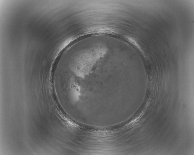 X0000061151071200511181228