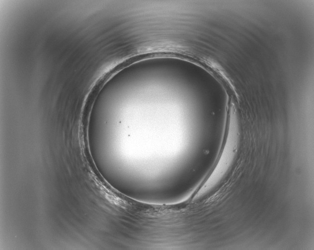 X0000061151072200511181228