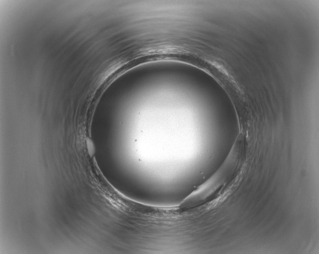 X0000061151073200511181228