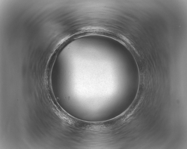 X0000061151074200511181228