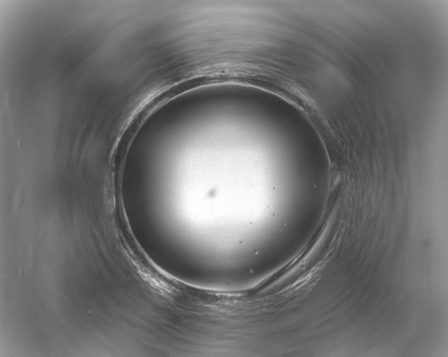 X0000061151075200511181228