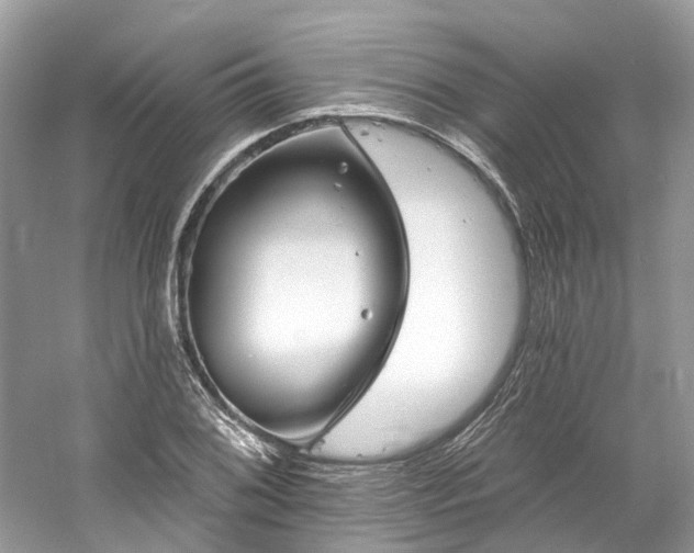 X0000061151076200511181228