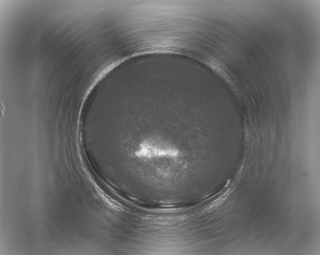 X0000061151077200511181228