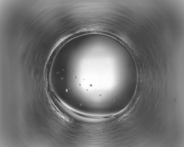 X0000061151078200511181228