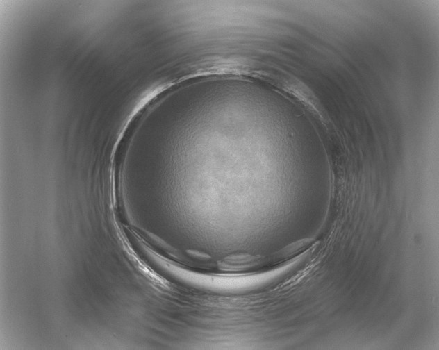 X0000061151079200511181228