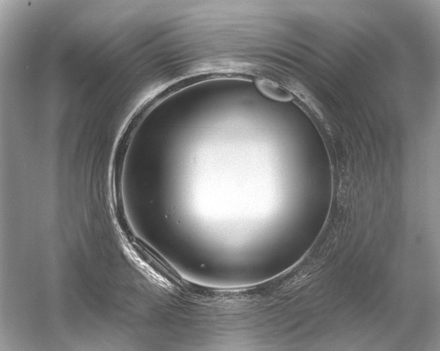 X0000061151080200511181228