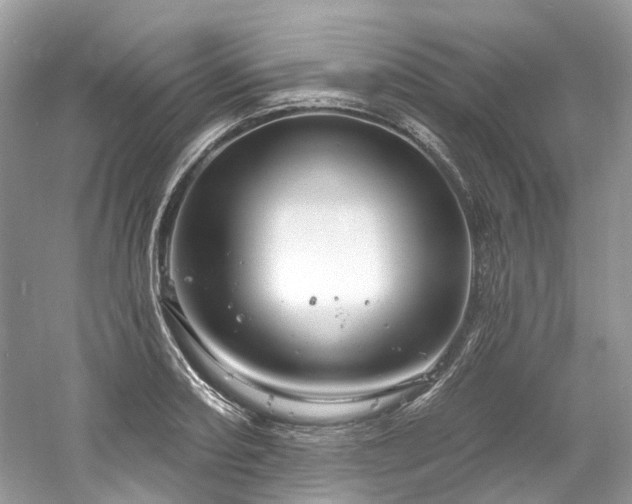 X0000061151082200511181228