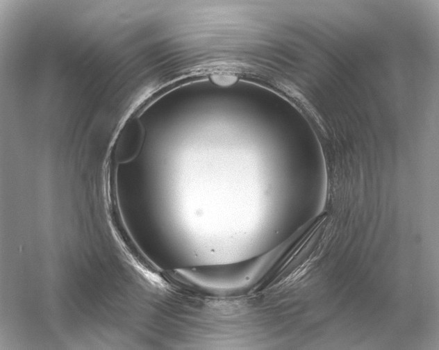 X0000061151083200511181228