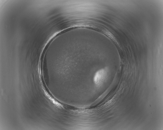 X0000061151084200511181228