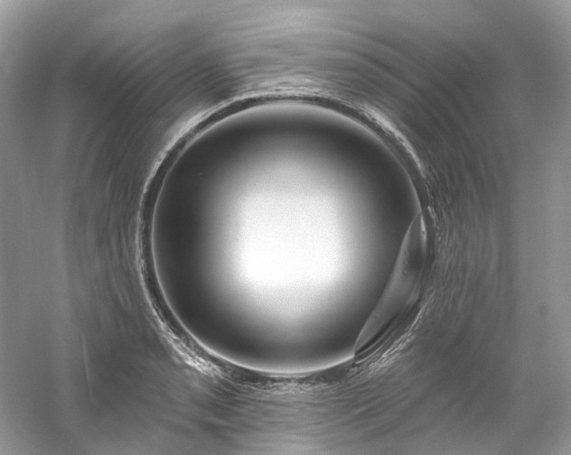 X0000061151085200511181228