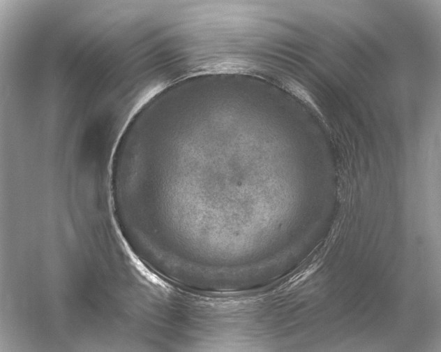 X0000061151087200511181228