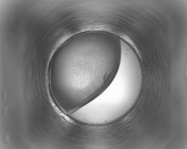 X0000061151088200511181228