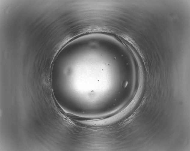 X0000061151089200511181228