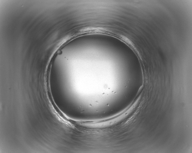 X0000061151090200511181228