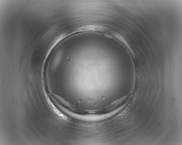 X0000061151091200511181228