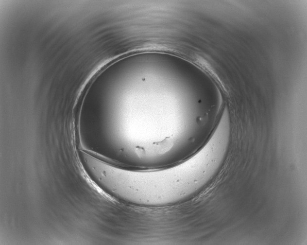 X0000061151092200511181228