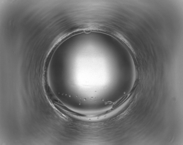 X0000061151093200511181228