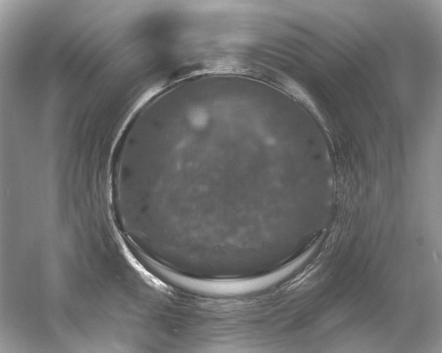 X0000061151095200511181228