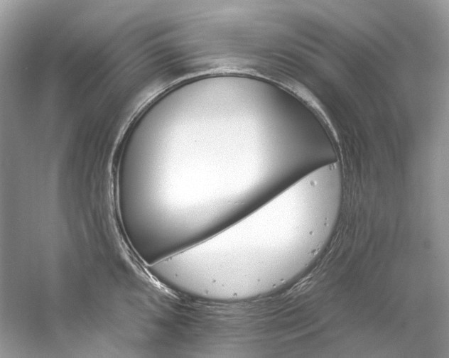 X0000061151096200511181228