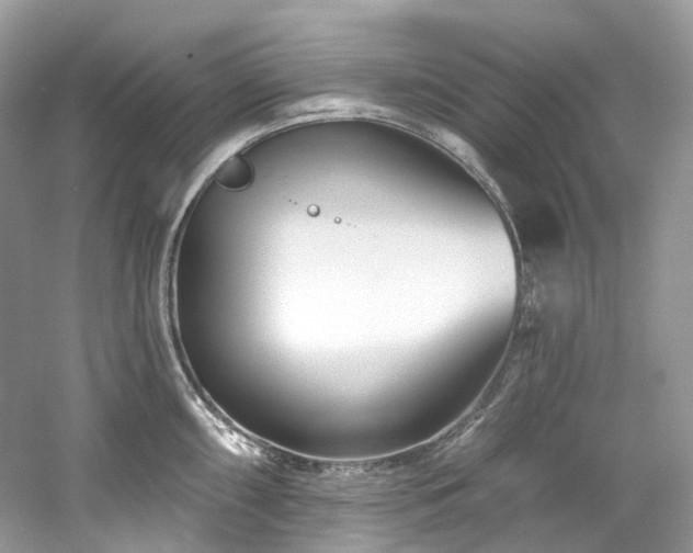 X0000061151098200511181227