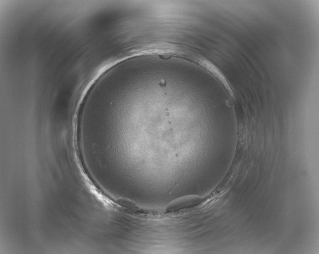 X0000061151099200511181227