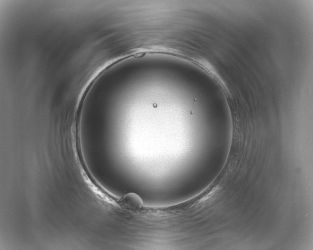 X0000061151100200511181227