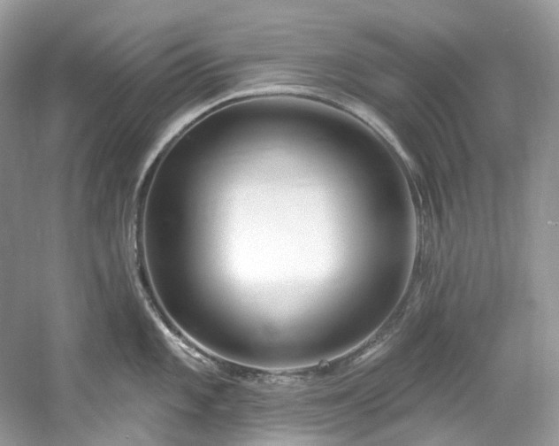 X0000061151101200511181227