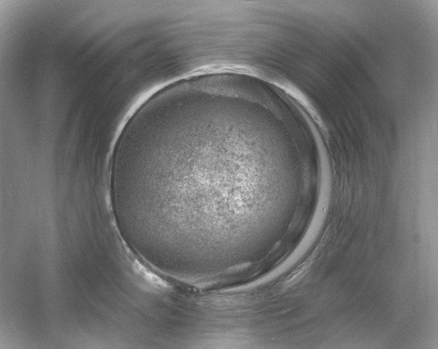 X0000061151102200511181227