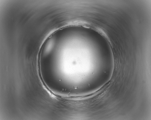 X0000061151103200511181227