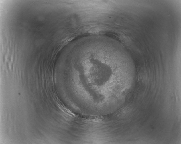 X0000061151106200511181227