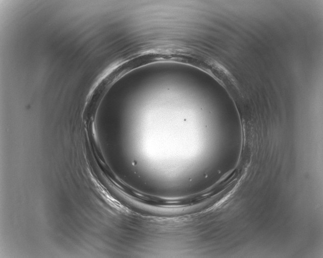 X0000061151114200511181227