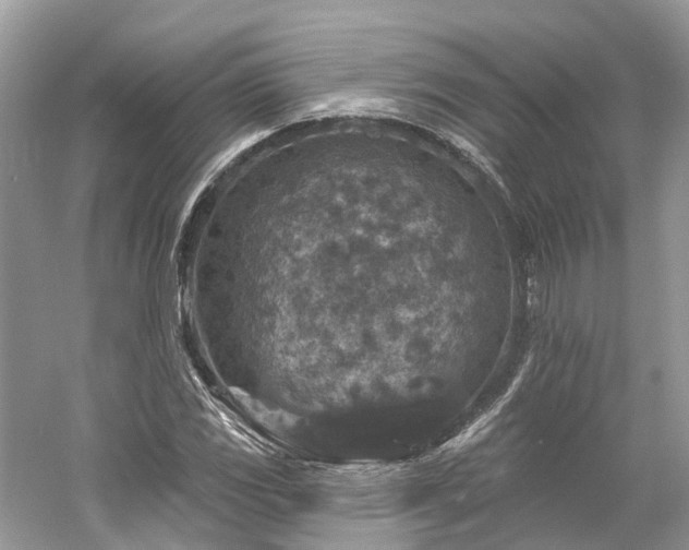 X0000061151117200511181227