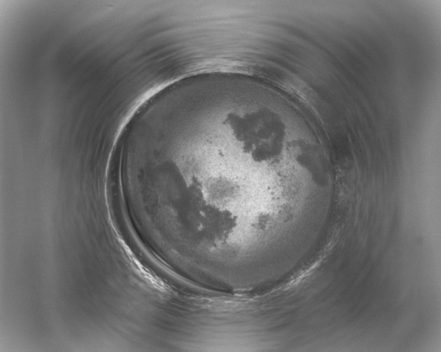 X0000061151125200511181227