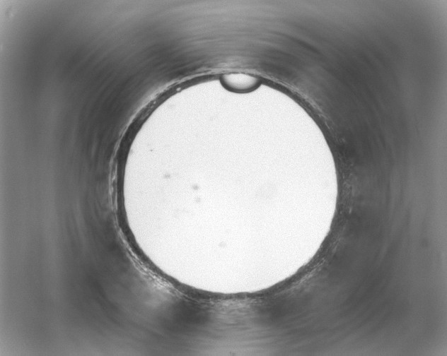 X0000061151126200511181227