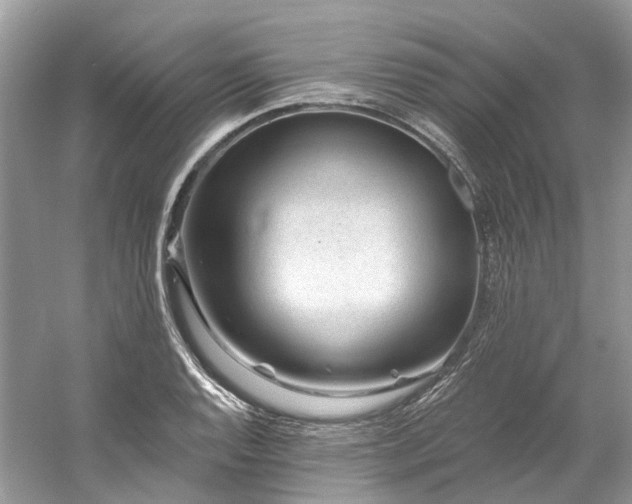 X0000061151128200511181227