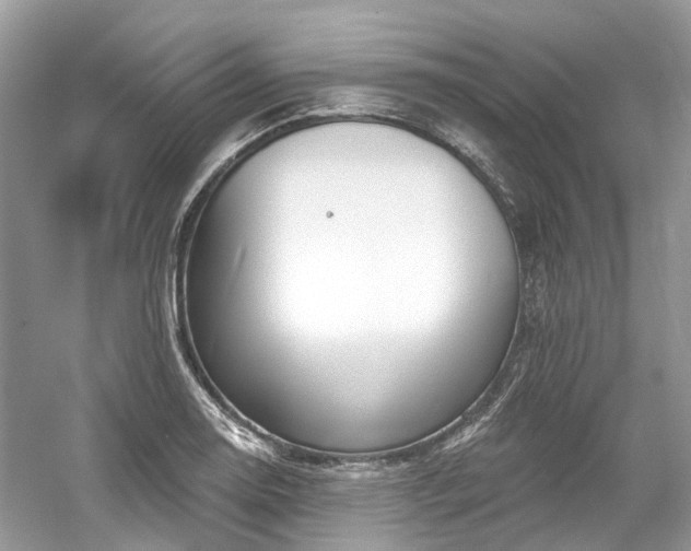 X0000061151130200511181227