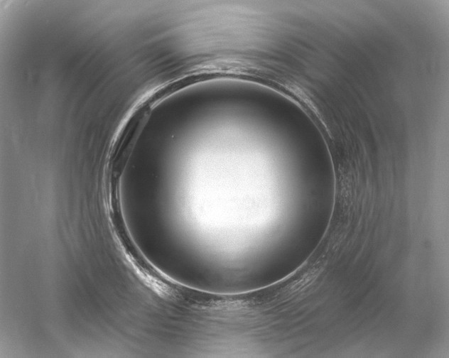 X0000061151131200511181227