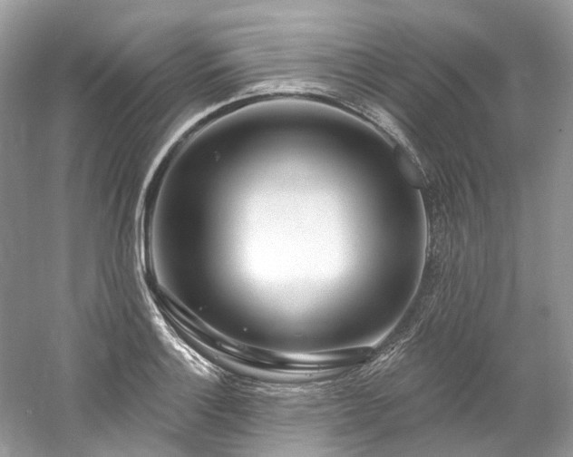 X0000061151132200511181227