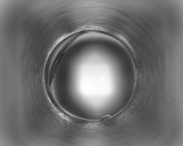 X0000061151133200511181227