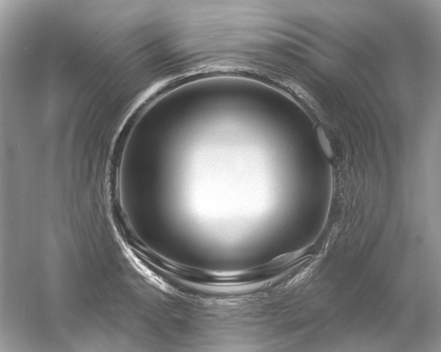 X0000061151134200511181227