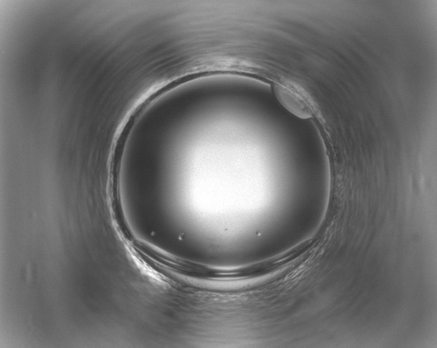 X0000061151136200511181227