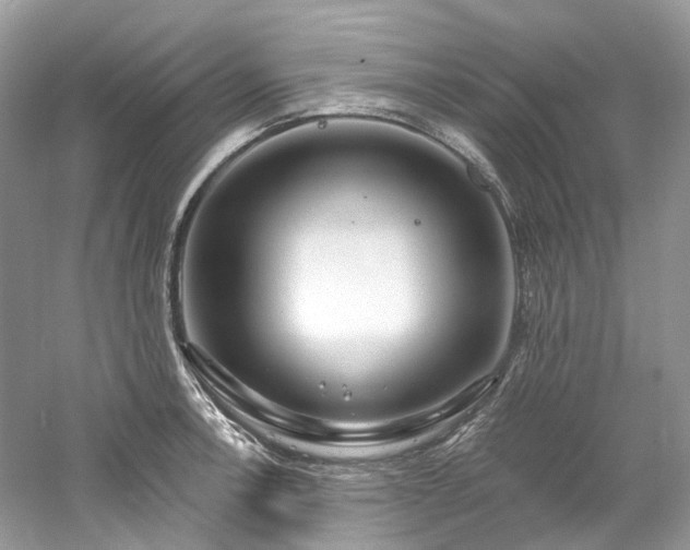 X0000061151138200511181227