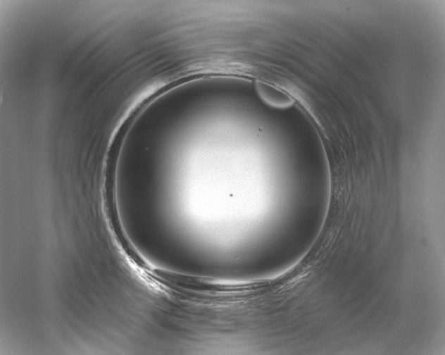 X0000061151139200511181227